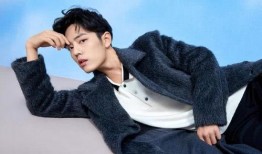 肖战爆料小生粉丝视频,揭秘背后真相