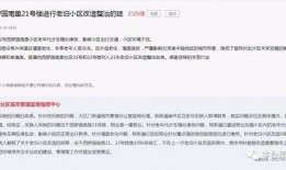 爆料最新项目有哪些内容,前沿科技与创新应用全解析